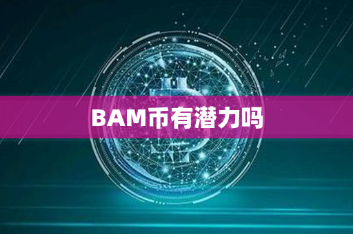 BAM币有潜力吗第1张-币资讯