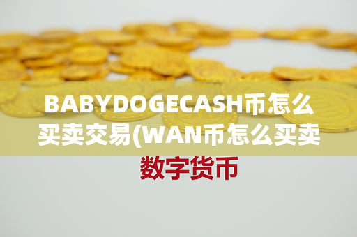 BABYDOGECASH币怎么买卖交易(WAN币怎么买卖交易)第1张-币资讯