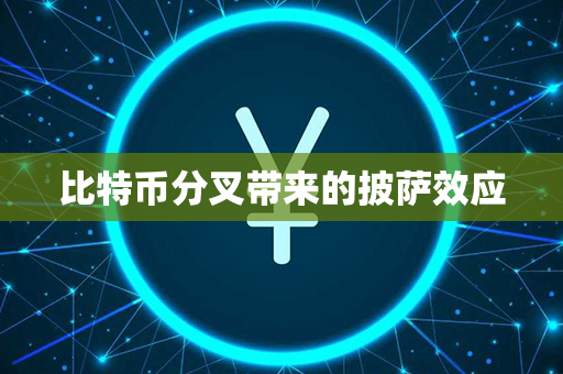 比特币分叉带来的披萨效应第1张-币资讯