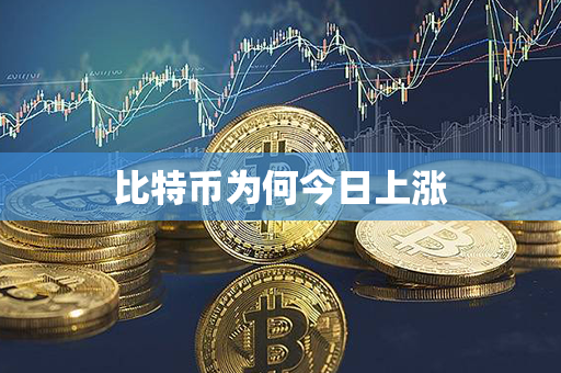 比特币为何今日上涨第1张-币资讯