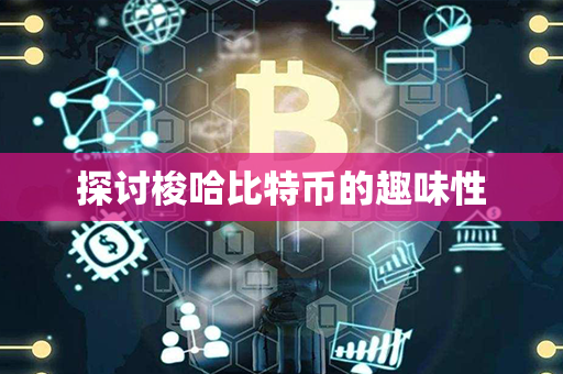 探讨梭哈比特币的趣味性