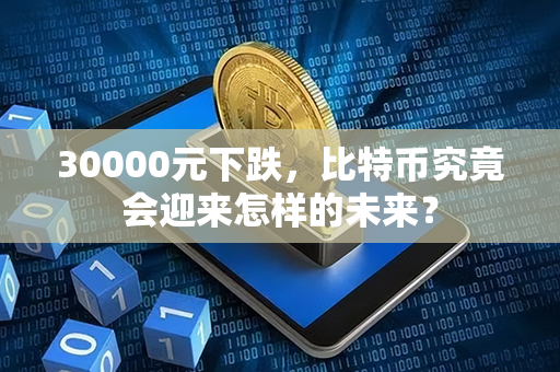 30000元下跌，比特币究竟会迎来怎样的未来？第1张-币资讯